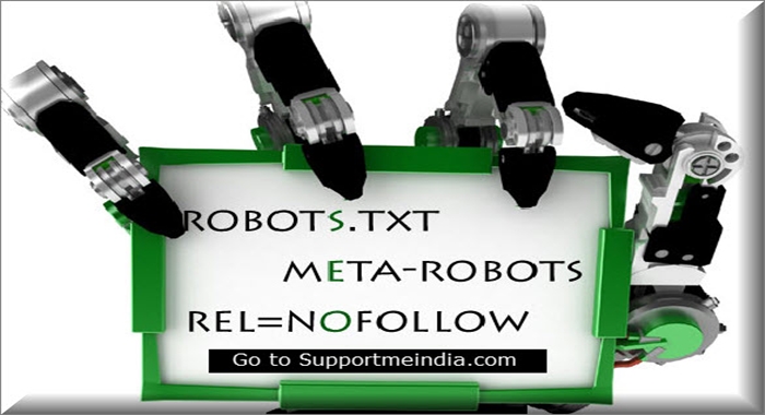 robots.txt file