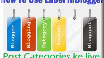 Blogger Label as Category