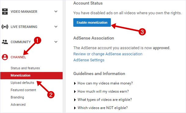 YouTube monetization