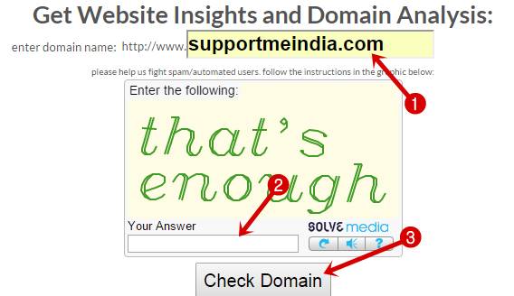 Get Website Insights and Domain Analysis