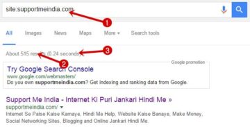 Which URL of Your Website Search Engine Indexed