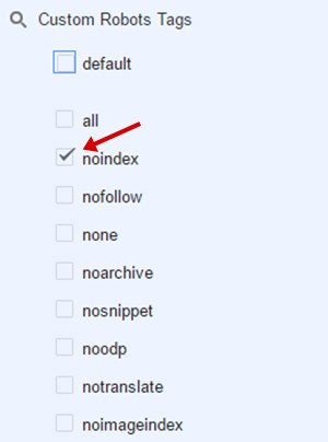 Custom robots tags