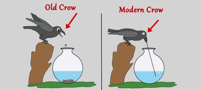 Old crow and modern crow