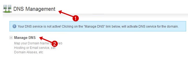 DNS Management