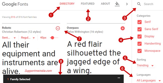 google fonts features