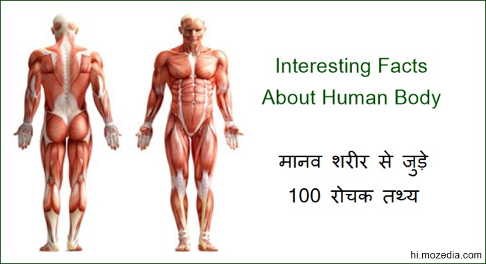 मानव शरीर से जुड़े 100 रोचक तथ्य