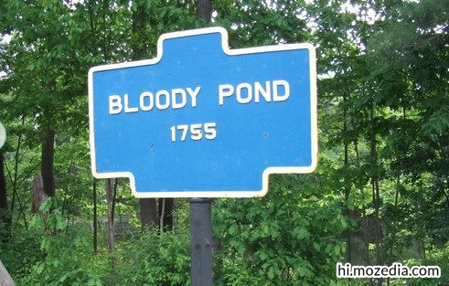 Bloody Pond (खुनी तालाब), जापान