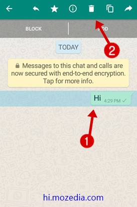 Delete WhatsApp Message