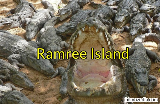 Ramree Island