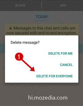 WhatsApp Message Kaise Delete Kare