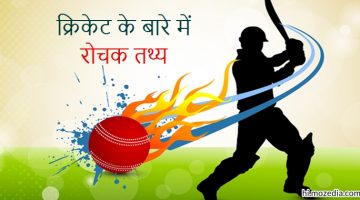 Cricket के बारे में Interesting Facts