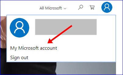 View My Microsoft Account