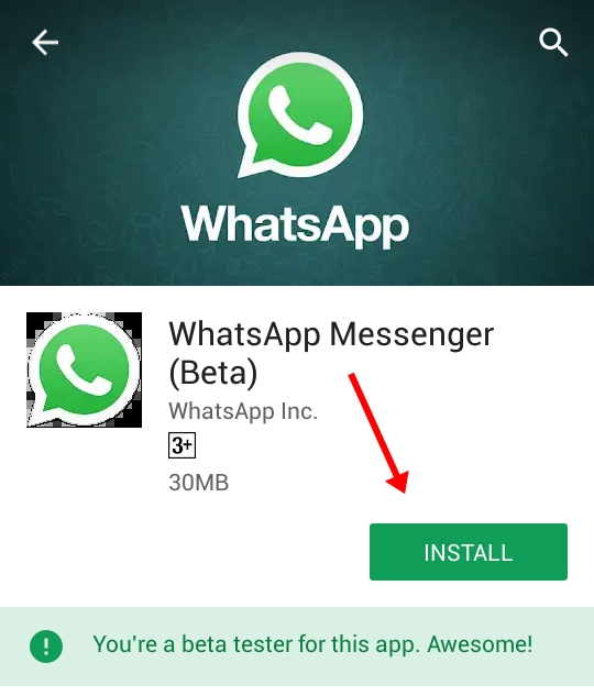 WhatsApp Messenger (Beta)