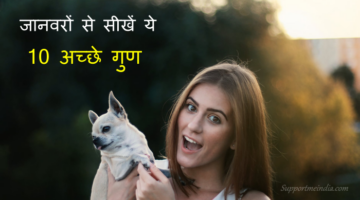 जानवरों से सीखें ये 10 अच्छे गुण