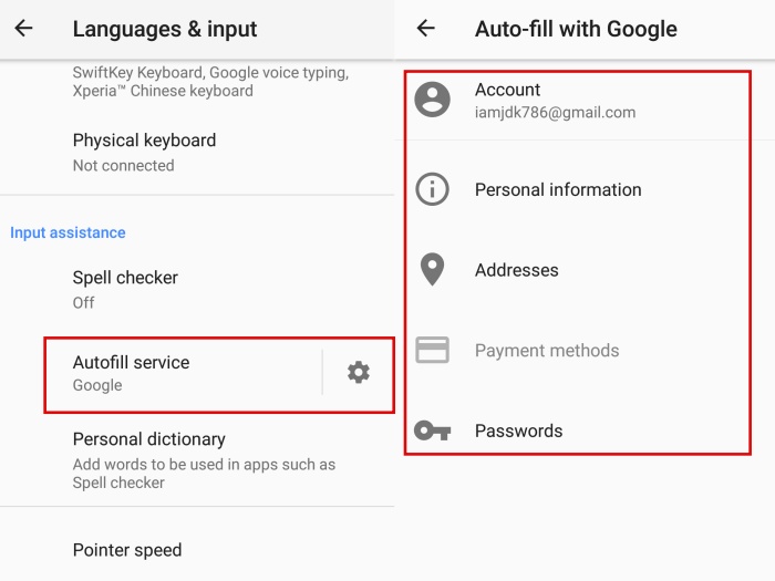 Google Autofill Service