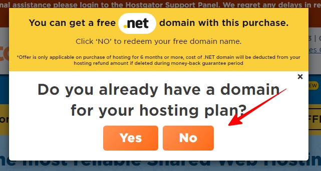 choose no for get free domain