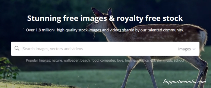 Pixabay - royalty free images and videos site