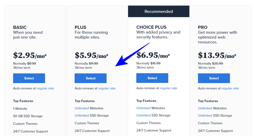 Select Web Hosting Plan