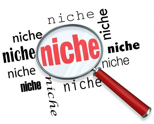blog niche blog niche