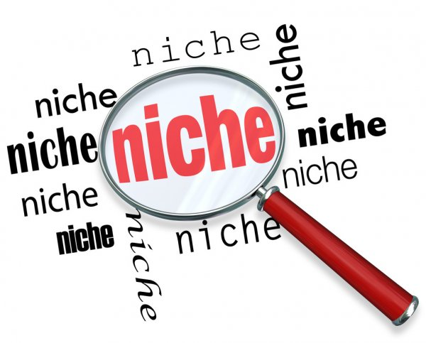 blog niche