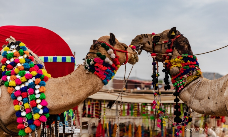 Pushkar Fair