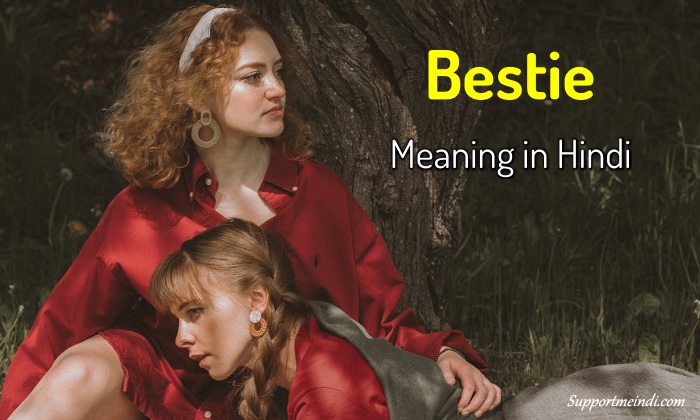 Bestie Meaning in Hindi