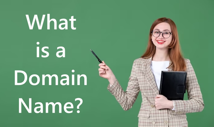 What is a Domain Name? 