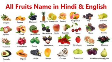 All Fruits Name in Hindi and english