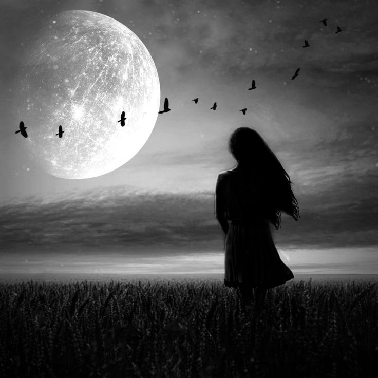 alone girl with night moon and birds